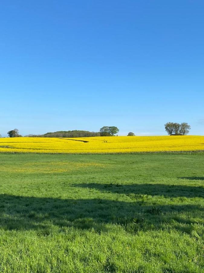 Schmuckstueck In Ostseenaehe Surendorf Exterior photo
